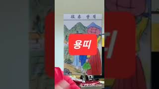 용띠 오늘의운세 2024년7월4일 목요일 운세 총운