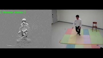 NIPS2017 ML4H DVS-TN real-time fall detection demo