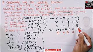 utility maximization problem