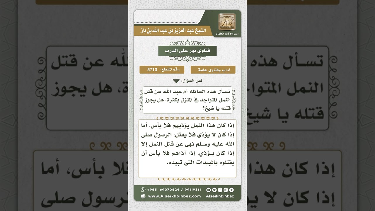 5713 -  حكم قتل النمل داخل المنازل  - نور على الدرب