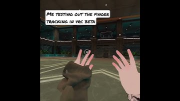 Testing the finger tracking in vrc beta
