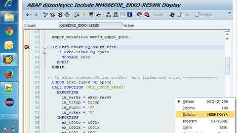 (2014)SAP ABAP Debugger & Hata Yakalama-3