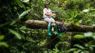 7 days of survival in the tropical forest, the girl makes a shelter when it rains