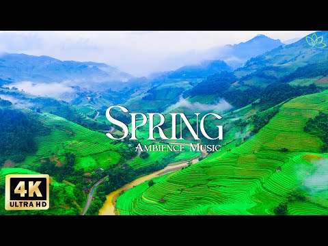 Видео: 4K Drone Amazing Nature Film - Расслабляющая фортепианная музыка для весеннего утра
