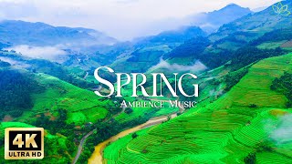 4K Drone Amazing Nature Film  Relaxing Piano Music for Spring Morning  Soothing Waterfall Sounds