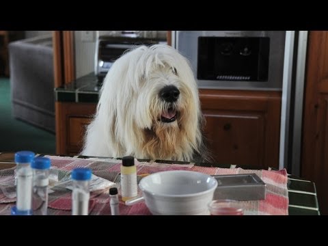 Albert - Der unsichtbare Hund (Trailer Deutsch)