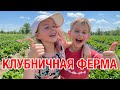 Клубничная ферма рядом с Шарлотт