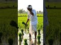 🤣 wait for and 😂 #shortvideo #shorts #newtrend #explore