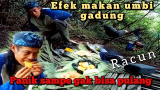 efek makan ubi gadung,keracunan parah sampe gak bisa pulang