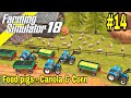 Farming Simulator 18 - Gameplay Timelapse #14 Feed Pig's - Corn And Canola #fs18 @whitefroggaming