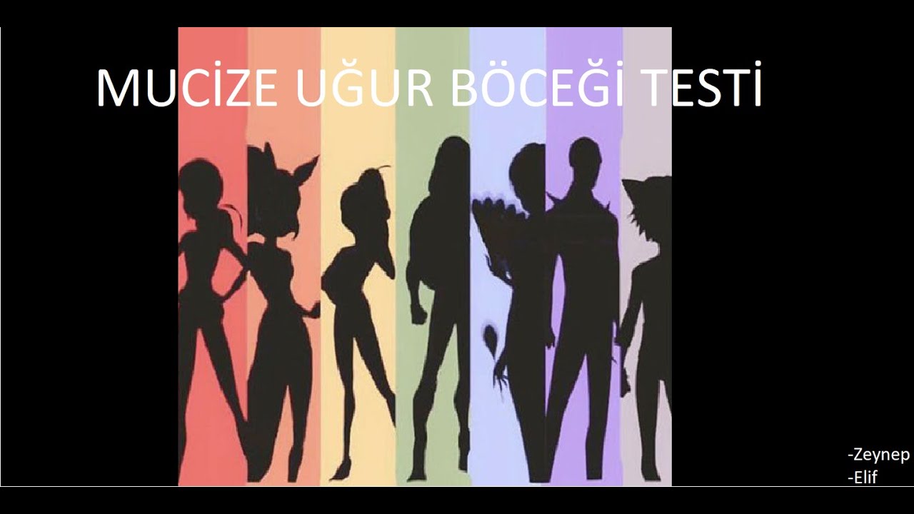 Mucize Uğur Böceği İle Kara Kedi Testi (miraculous ladybug) YouTube