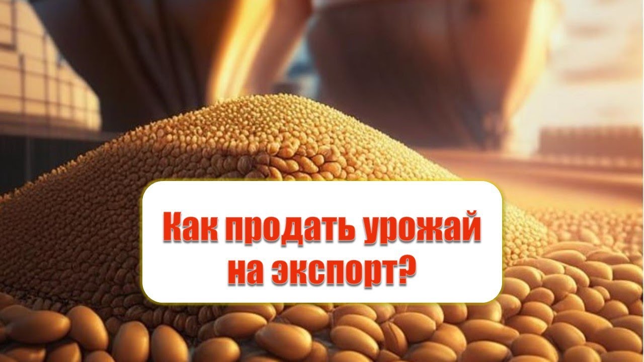 Энергия экспорта. Выход из зерновой сделки.