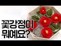 앙금플라워 디저트 공방 필수 메뉴가 된 꽃강정에 대해 자세히 알려드려요!