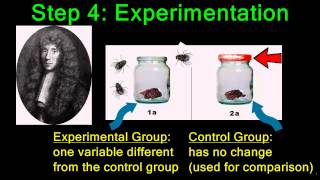 Problem Solving: The Scientific Method