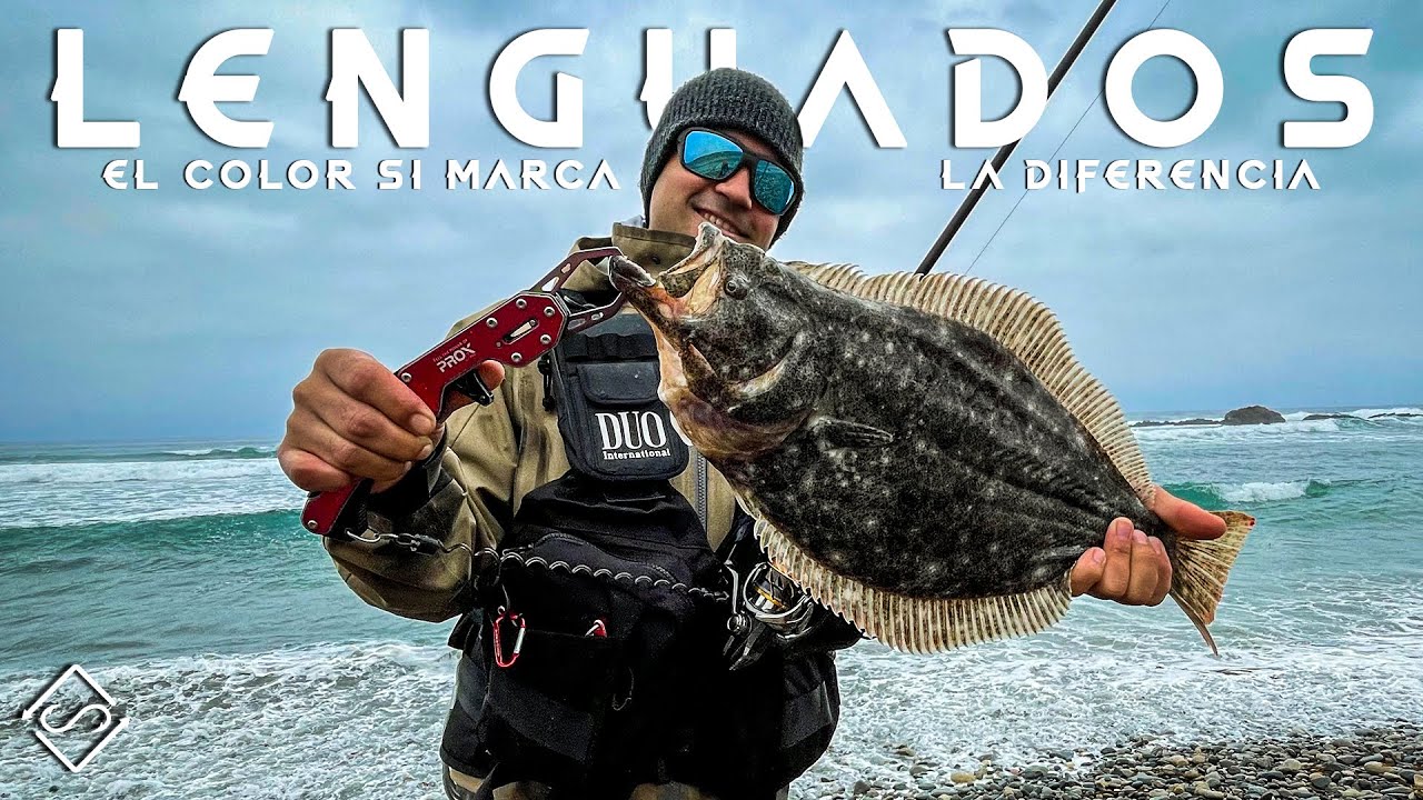 El COLOR Si Marca La DIFERENCIA - Pesca de Lenguados a Spinning