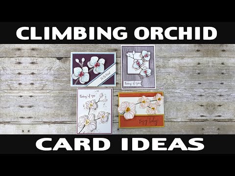 Stamping Jill -
