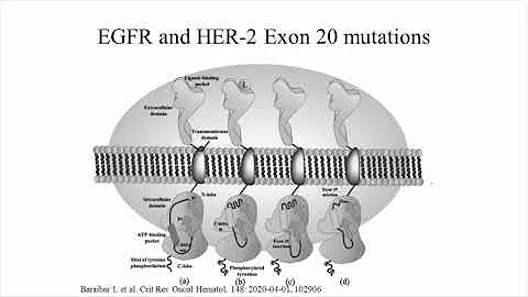 Recent Advances in Small Molecule Targeted Therapy of NSCLC