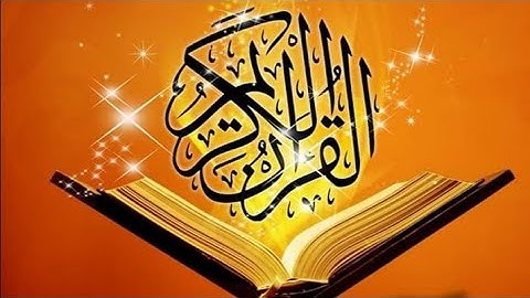 القرآن الكريم سورة القلم القارئ أحمد هاشم سعيد🌷