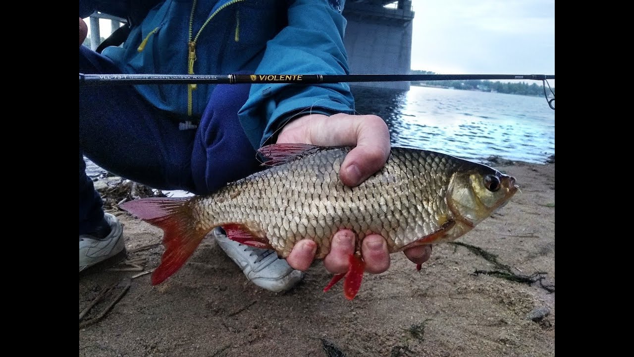 Что таоке волкеры и как на них ловить? Часть 1 - YouTube