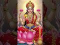 Jay maa laxmi 🪔