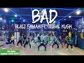 BAD - BLAIZ FAYAH FT TRIBAL KUSH (BUSKILAZ REMIX) | ZUMBA & DANCE WORKOUT CHOREO | RULYA MASRAH