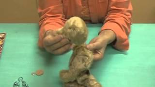 How to Make a Teddy Bear - #8 Filling and Attaching the Head