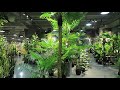 Showroom of yeahflower artificial trees factory in dongguan china