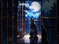 🌧️ Midnight Rain Study &amp; Sleep Lofi | Chill Beats for Focus &amp; Relaxation 🌙☕