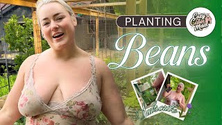 Planting beans in Pennsylvania