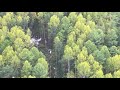 Accident: Aeroservice L410 near Kazachinsk on Sep 12th 2021, collided with trees on approach