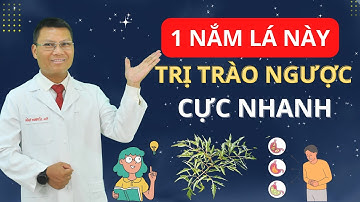 Bí Quyết Dùng 1 Nắm Lá Đinh Lăng Giúp Dạ Dày Êm, Trào Ngược Tan Biến! | Tuấn Thầy Thuốc
