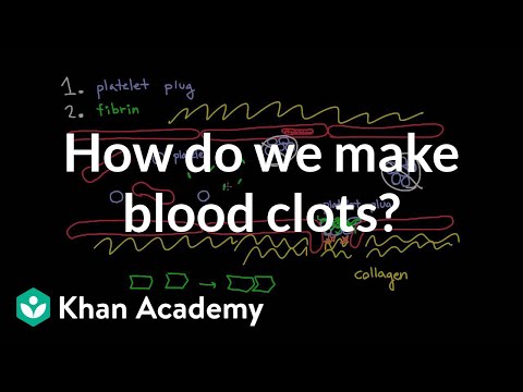 How do we make blood clots? | Human anatomy and physiology | Health & Medicine | Khan Academy