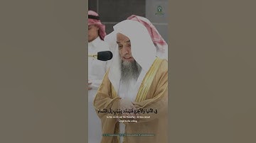 ﴿وَكَذلِكَ أَنزَلناهُ آياتٍ بَيِّناتٍ وَأَنَّ اللَّهَ يَهدي مَن يُريدُ﴾|| د. #فيصل_غزاوي