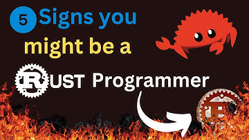 5 signs you might be a Rust programmer | Rustaceans 2024 | Should you learn Rust in 2024 ?