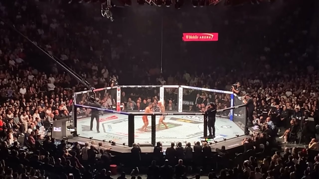 Ilia Topuria vs Charles Oliveira FULL FIGHT (Crowd View) - YouTube
