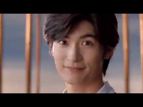 お～い！お茶　入手困難非売品POP　三浦春馬＆市川海老蔵＆中谷美紀＆＆有村架純 三浦春馬＆市川海老蔵＆中谷美紀＆＆有村架純 お-いお茶非売品POP