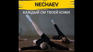 Каждый см твоей кожи - Nechaev DS Respect г. Краснодар