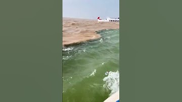 مَرَجَ الْبَحْرَيْنِ يَلْتَقِيَانِ بَيْنَهُمَا بَرْزَخٌ لَّا يَبْغِيَانِ _ #محمد_ايوب #تلاواتي