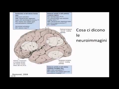 Video: Scoperta Della Biologia Delle Sindromi Neuropsichiatriche (DBNS): Un Centro Per L'integrazione Di Medicina Clinica E Scienza Di Base