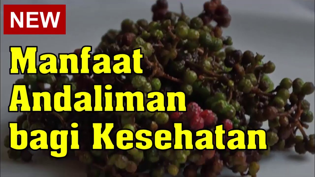 Khasiat andaliman buat tubuh 