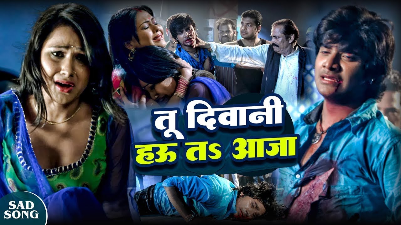 Priyanka Pandit || Chintu Pandey || तू दिवानी हउ त आजा || Tu Diwani Hau Ta Aaja - Bhojpuri Song 2025