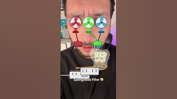 SpongeBob Puzzle Filter Game!