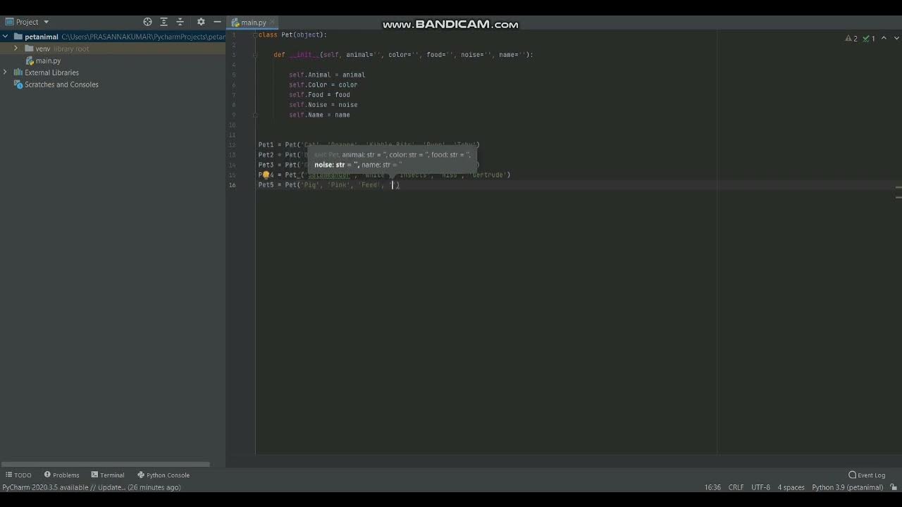 Pet animal Classification in python - YouTube