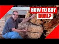 Burl Hunter - How to buy Burl