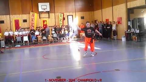 Shaolin Kungfu Ropedart:  VKL Kungfu Heuvelland | He Yong Gan