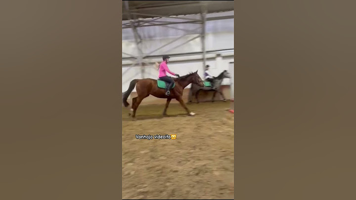 Arvatkaa kellä meen huomenna kauden ekalla🤭 (Musti, Dino, Leevi, Enne, Nanna, Roope, Risto)