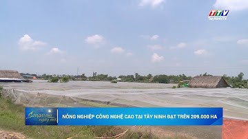 Nông nghiệp công nghệ cao tại Tây Ninh đạt trên 209.000 ha
