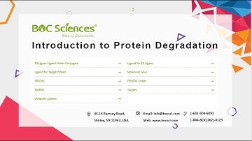 What Is Protein Degradation? - Discover PROTAC Technology & Research Tools - BOC Sciences
