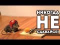 Главное никогда не сдаваться