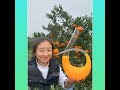 😍Farm Fresh Ninja Fruit | Tik Tok China | (Oddly Satisfying Fruit Ninja)